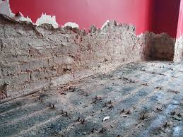 The Complete Homeowner’s Guide To Damage Restoration In Greenville Damage Restoration